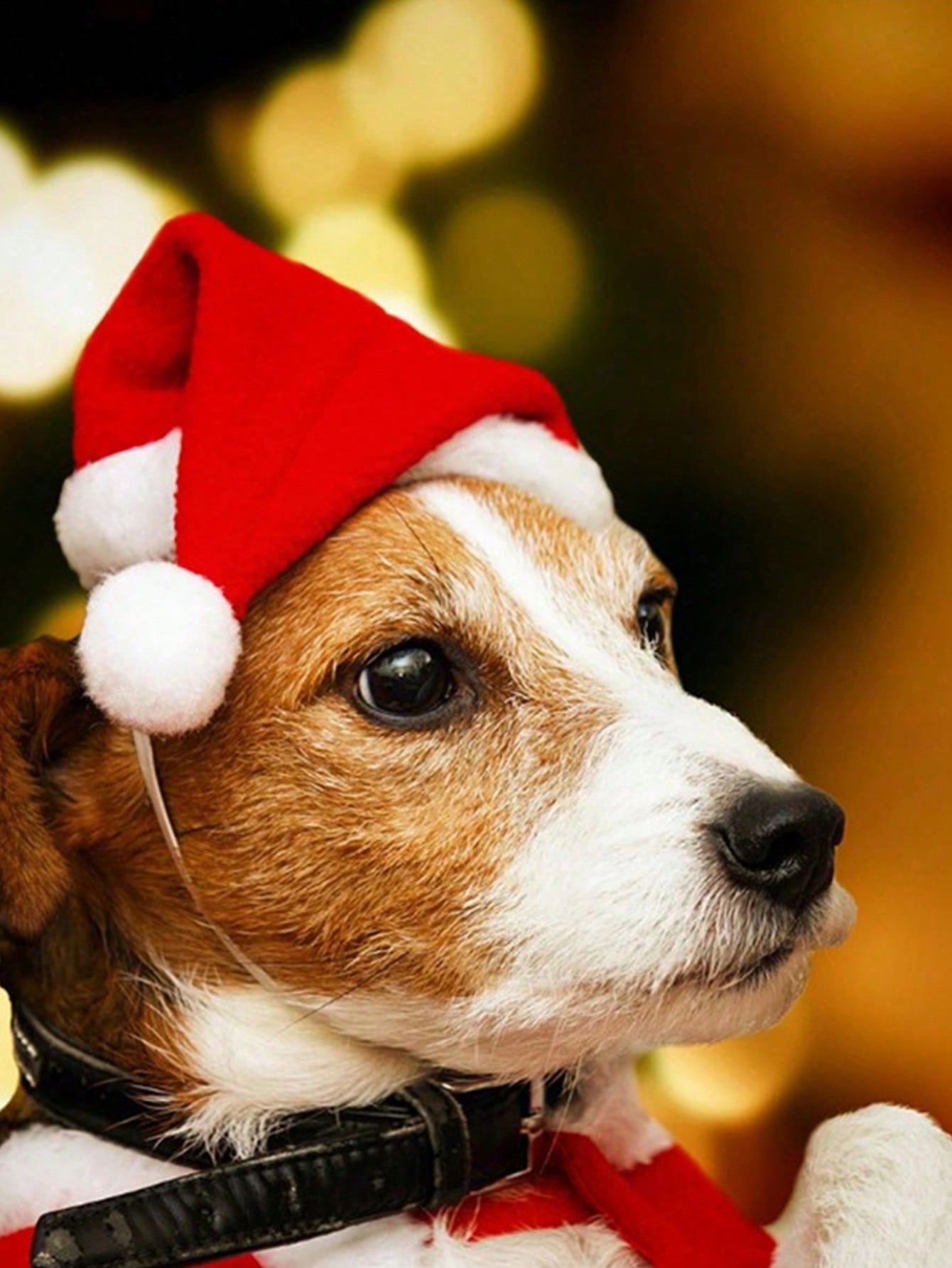 Santa Hat Plush - Plush Santa Hat for Dog Cat,